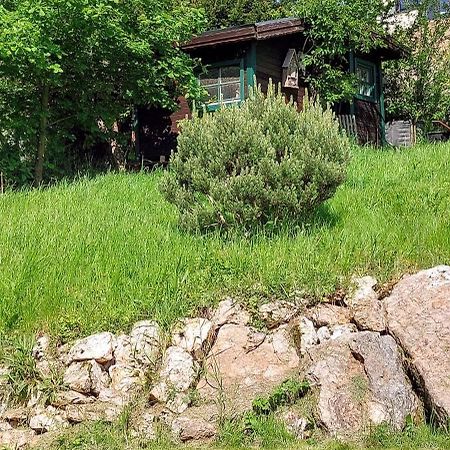 Huettenflair-Mosel Ferienwohnung Enkirch Luaran gambar