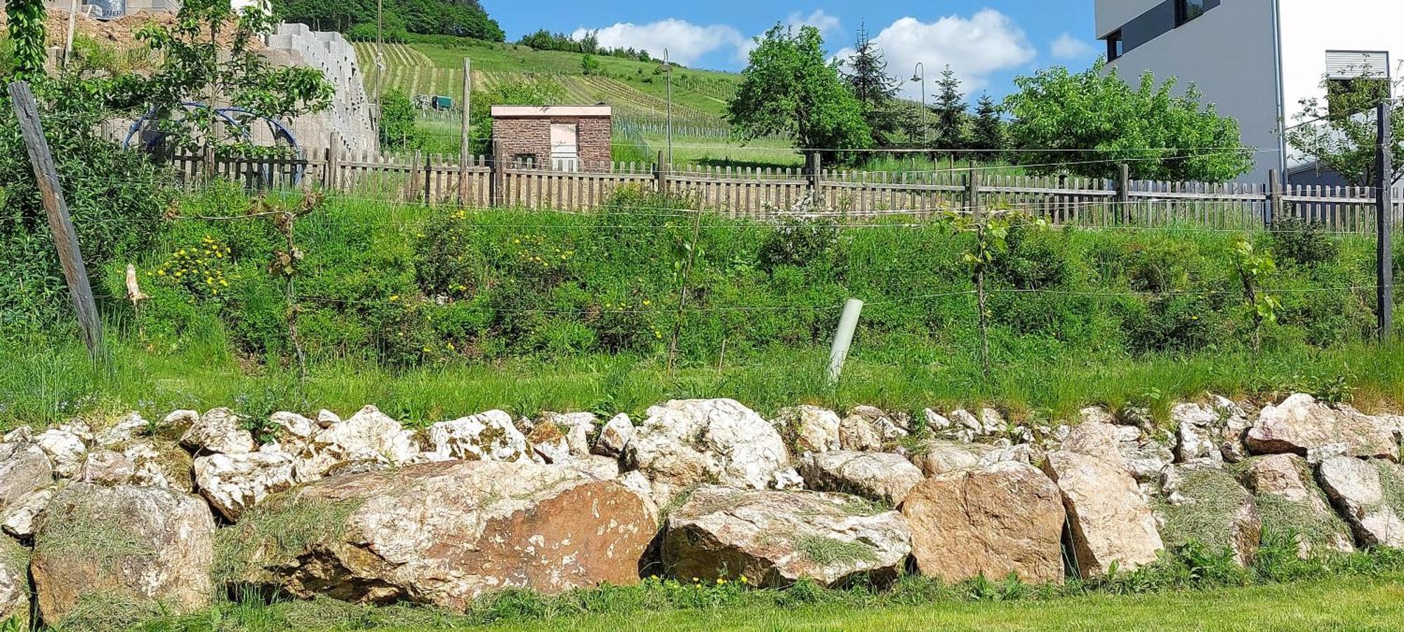 Huettenflair-Mosel Ferienwohnung Enkirch Luaran gambar