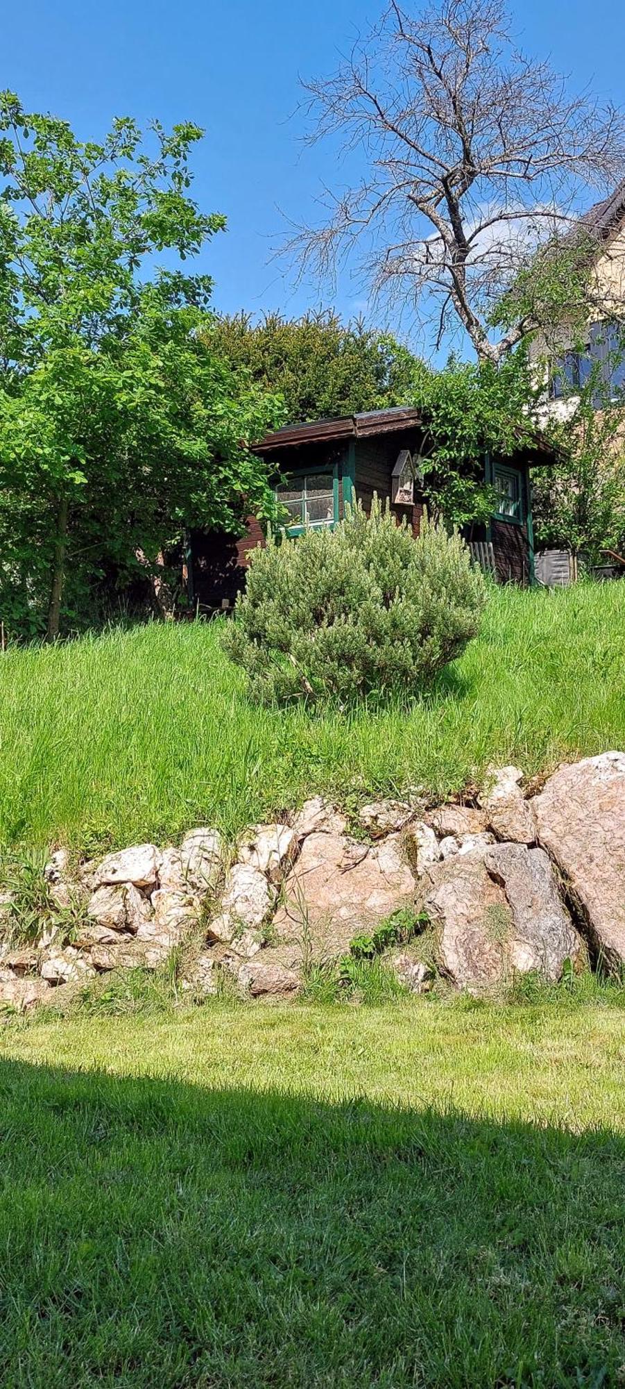 Huettenflair-Mosel Ferienwohnung Enkirch Luaran gambar