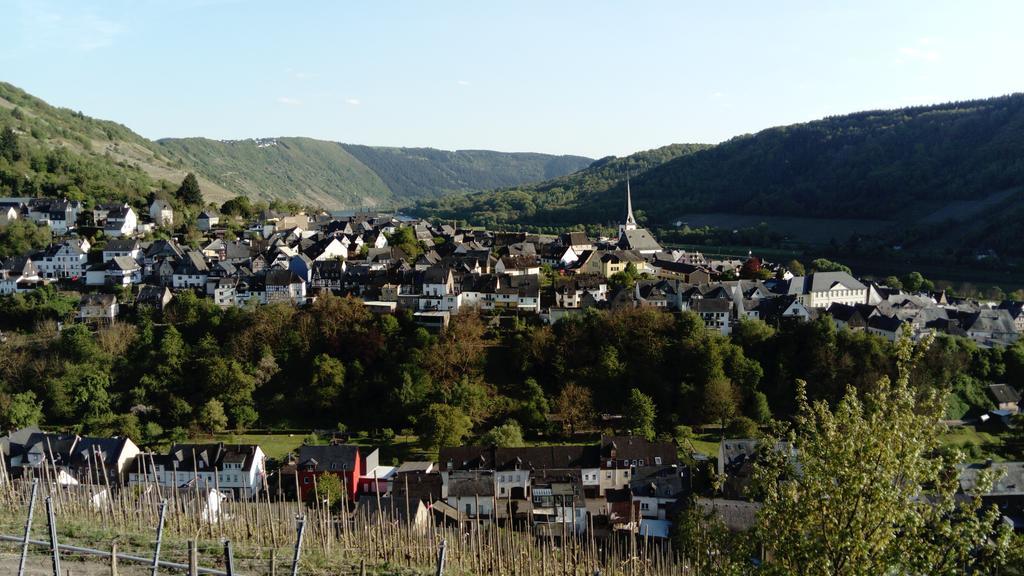 Huettenflair-Mosel Ferienwohnung Enkirch Luaran gambar